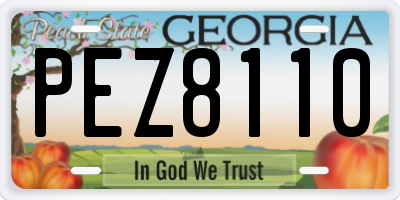 GA license plate PEZ8110
