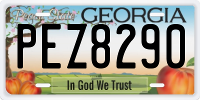 GA license plate PEZ8290