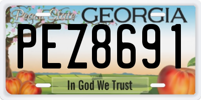 GA license plate PEZ8691