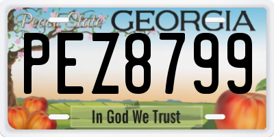 GA license plate PEZ8799