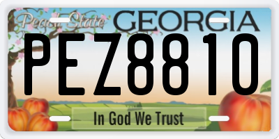 GA license plate PEZ8810