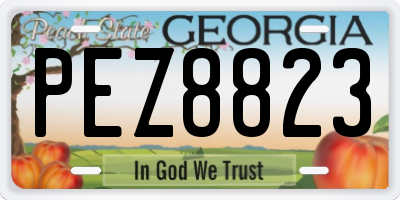 GA license plate PEZ8823
