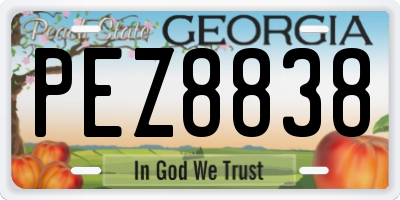 GA license plate PEZ8838