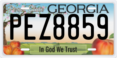 GA license plate PEZ8859