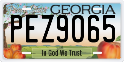 GA license plate PEZ9065