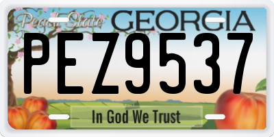 GA license plate PEZ9537