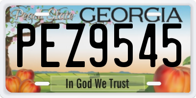 GA license plate PEZ9545