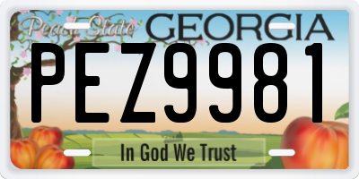 GA license plate PEZ9981