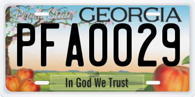 GA license plate PFA0029