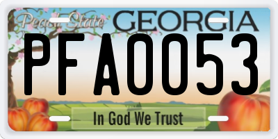 GA license plate PFA0053