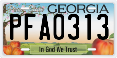GA license plate PFA0313