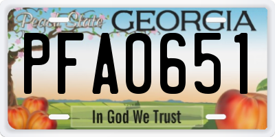 GA license plate PFA0651