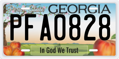 GA license plate PFA0828