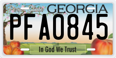 GA license plate PFA0845