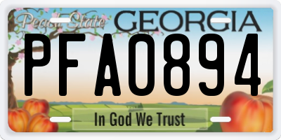 GA license plate PFA0894
