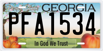 GA license plate PFA1534