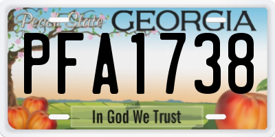 GA license plate PFA1738