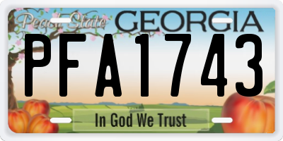 GA license plate PFA1743