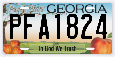 GA license plate PFA1824
