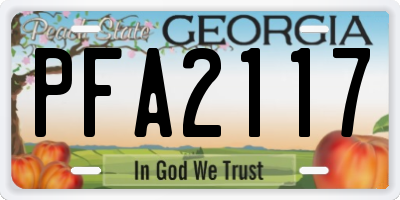 GA license plate PFA2117