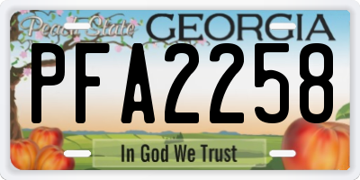 GA license plate PFA2258