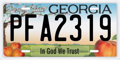 GA license plate PFA2319