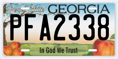 GA license plate PFA2338