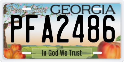 GA license plate PFA2486