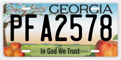 GA license plate PFA2578