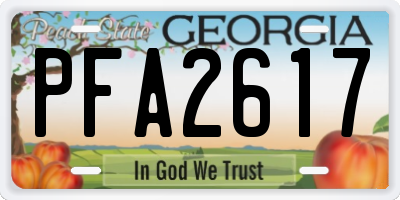 GA license plate PFA2617