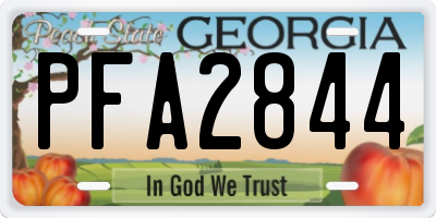 GA license plate PFA2844