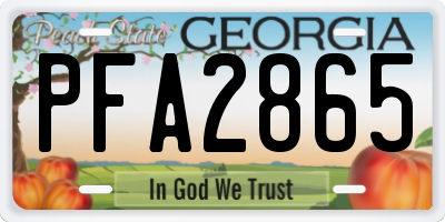 GA license plate PFA2865