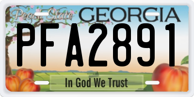 GA license plate PFA2891