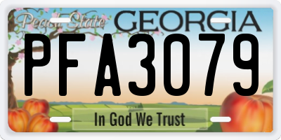 GA license plate PFA3079