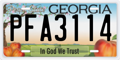 GA license plate PFA3114