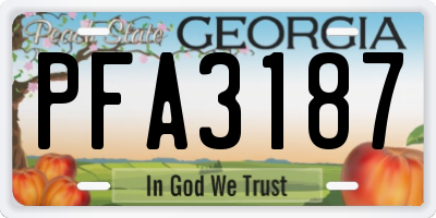 GA license plate PFA3187