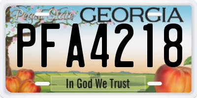 GA license plate PFA4218