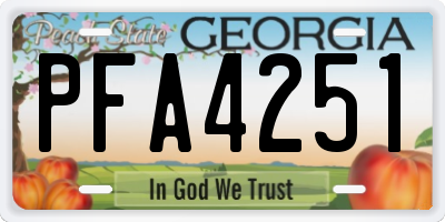 GA license plate PFA4251