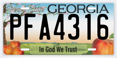 GA license plate PFA4316