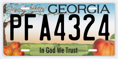 GA license plate PFA4324