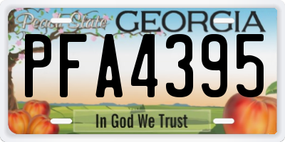 GA license plate PFA4395