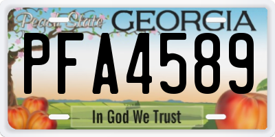 GA license plate PFA4589