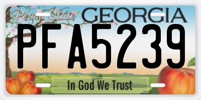 GA license plate PFA5239