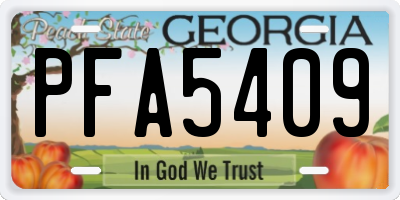 GA license plate PFA5409