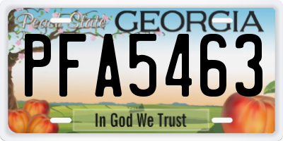 GA license plate PFA5463