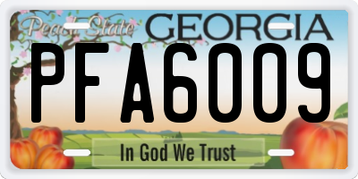 GA license plate PFA6009