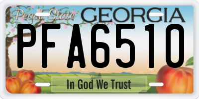GA license plate PFA6510