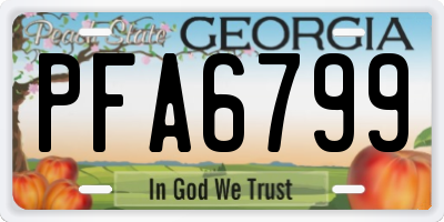 GA license plate PFA6799