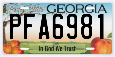 GA license plate PFA6981