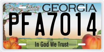 GA license plate PFA7014